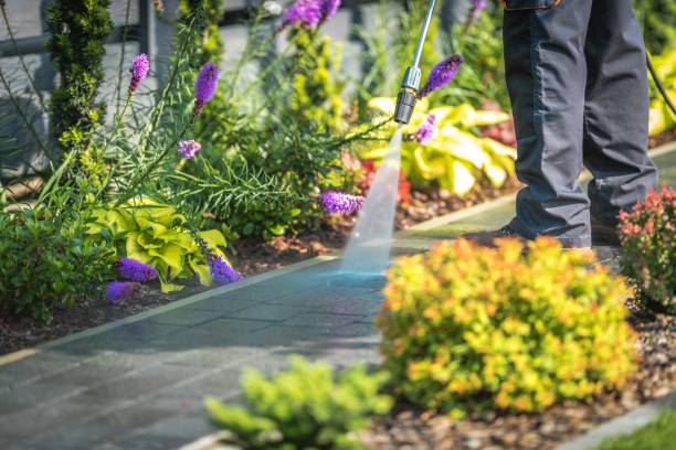 Best Restaurant Pressure Washing  in Canyon Lake, TX